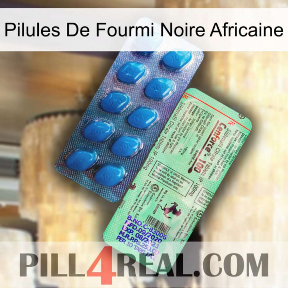 African Black Ant Pills new02